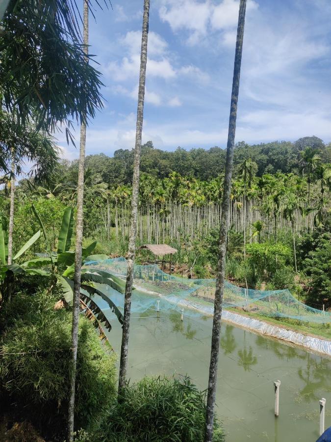 Exoticaholidays Sultan Bathery Ngoại thất bức ảnh